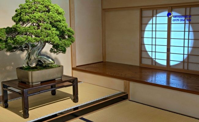 bonsai art