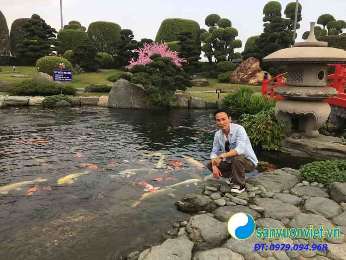 thiet-ke-thi-công-ho-ca-koi